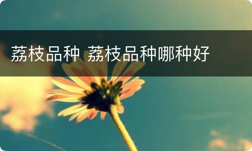荔枝品种 荔枝品种哪种好