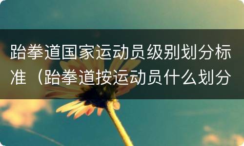 跆拳道国家运动员级别划分标准（跆拳道按运动员什么划分级别）