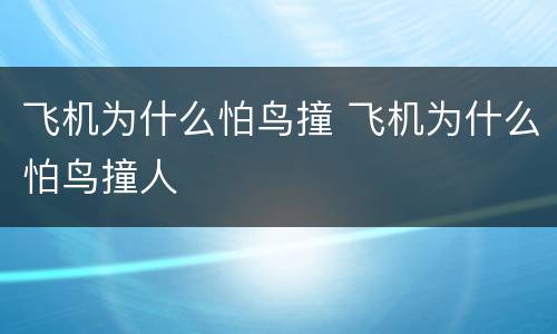 飞机为什么怕鸟撞 飞机为什么怕鸟撞人