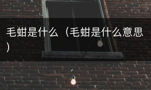 毛蚶是什么（毛蚶是什么意思）