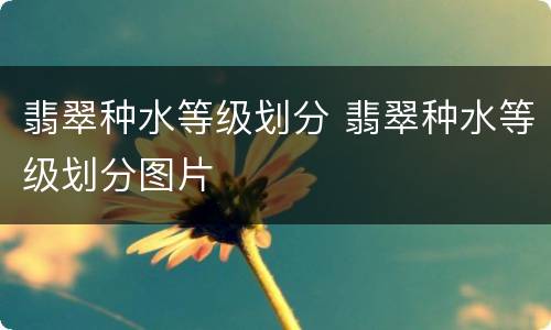 翡翠种水等级划分 翡翠种水等级划分图片
