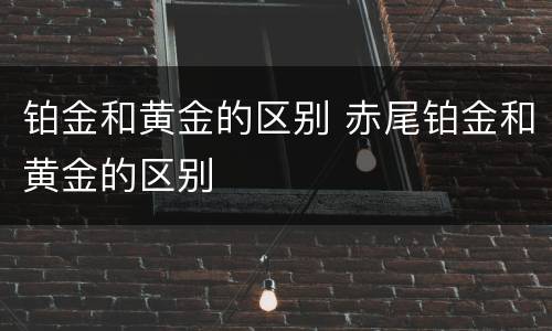 铂金和黄金的区别 赤尾铂金和黄金的区别