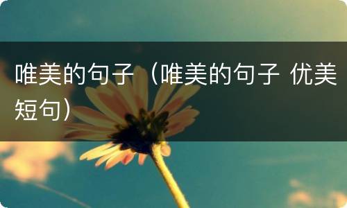 唯美的句子（唯美的句子 优美短句）