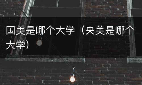 国美是哪个大学（央美是哪个大学）
