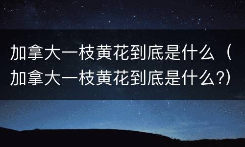 加拿大一枝黄花到底是什么（加拿大一枝黄花到底是什么?）