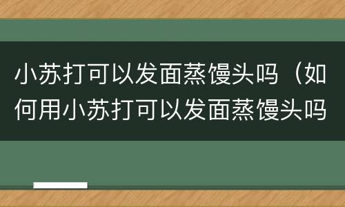 小苏打可以发面蒸馒头吗（如何用小苏打可以发面蒸馒头吗）