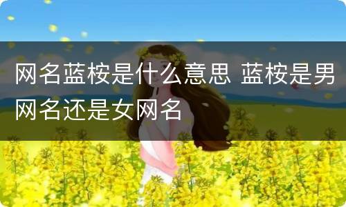 网名蓝桉是什么意思 蓝桉是男网名还是女网名