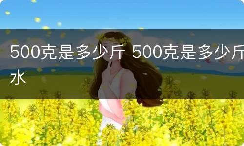 500克是多少斤 500克是多少斤水