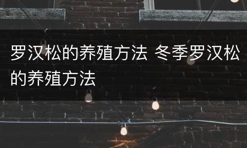 罗汉松的养殖方法 冬季罗汉松的养殖方法