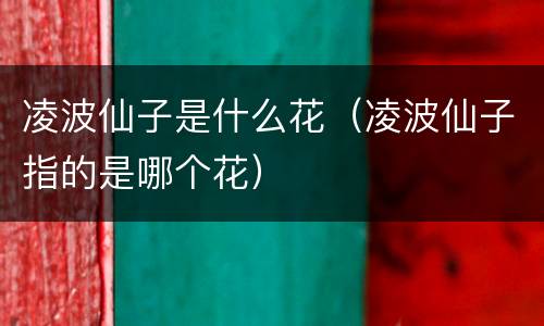 凌波仙子是什么花（凌波仙子指的是哪个花）