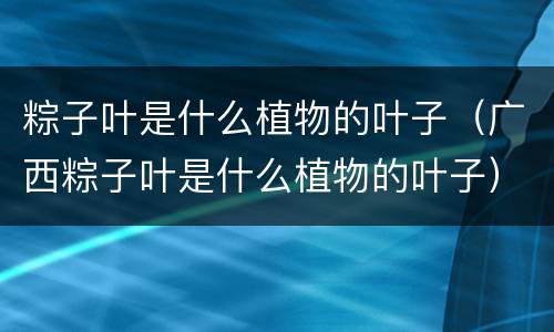 粽子叶是什么植物的叶子（广西粽子叶是什么植物的叶子）