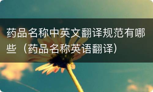 药品名称中英文翻译规范有哪些（药品名称英语翻译）