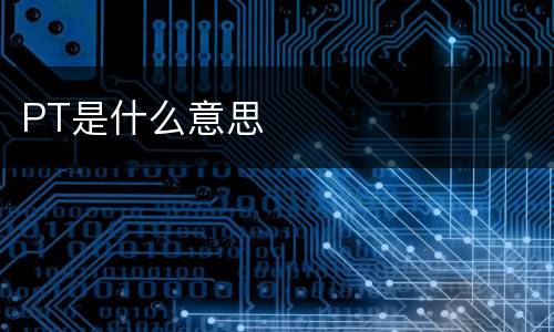 PT是什么意思