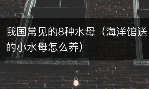 我国常见的8种水母（海洋馆送的小水母怎么养）