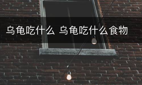 乌龟吃什么 乌龟吃什么食物