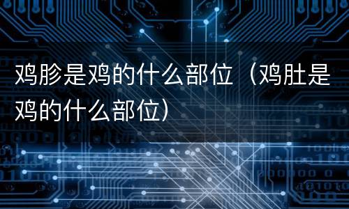 鸡胗是鸡的什么部位（鸡肚是鸡的什么部位）