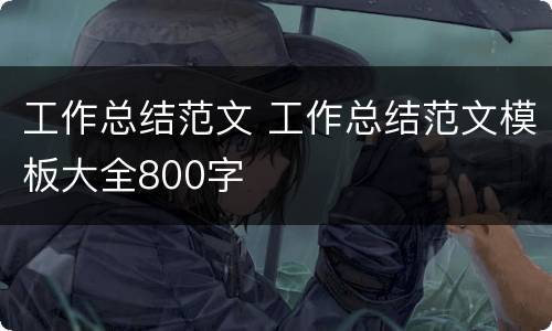 工作总结范文 工作总结范文模板大全800字