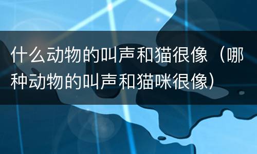 什么动物的叫声和猫很像（哪种动物的叫声和猫咪很像）
