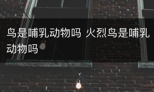 鸟是哺乳动物吗 火烈鸟是哺乳动物吗