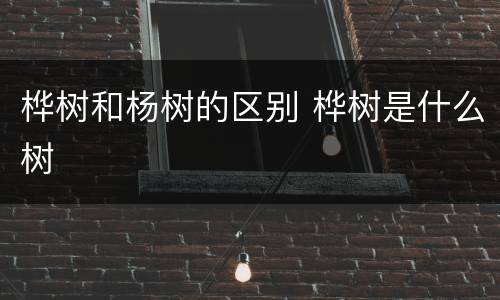 桦树和杨树的区别 桦树是什么树