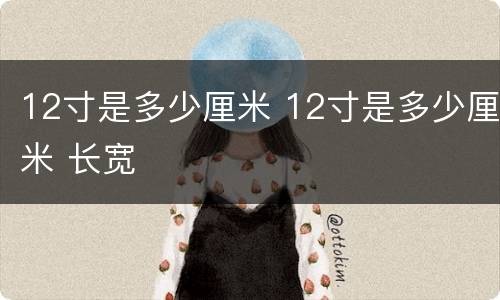 12寸是多少厘米 12寸是多少厘米 长宽