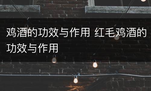 鸡酒的功效与作用 红毛鸡酒的功效与作用