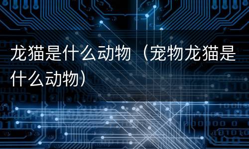 龙猫是什么动物（宠物龙猫是什么动物）