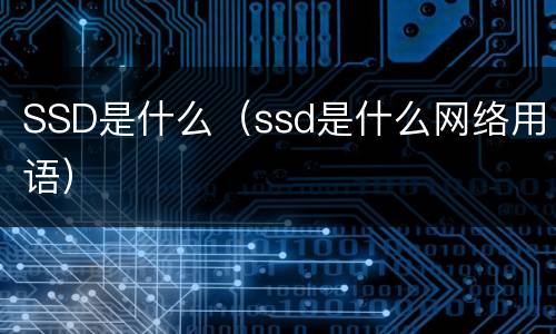 SSD是什么（ssd是什么网络用语）