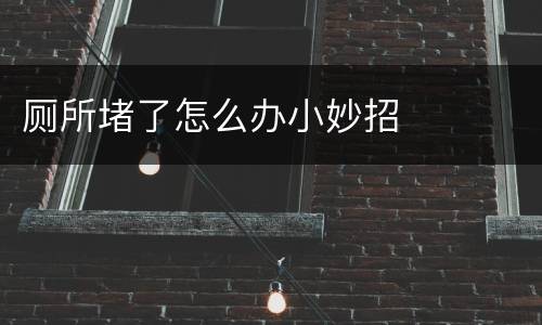 厕所堵了怎么办小妙招