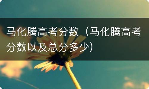 马化腾高考分数（马化腾高考分数以及总分多少）
