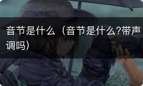 音节是什么（音节是什么?带声调吗）