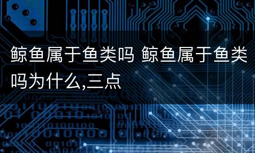 鲸鱼属于鱼类吗 鲸鱼属于鱼类吗为什么,三点
