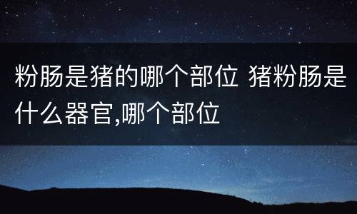 粉肠是猪的哪个部位 猪粉肠是什么器官,哪个部位