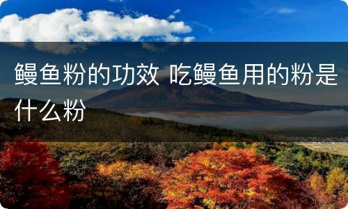 鳗鱼粉的功效 吃鳗鱼用的粉是什么粉