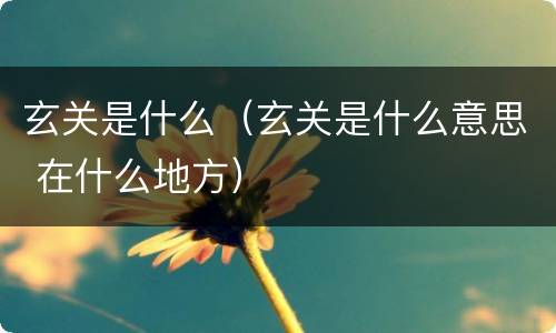 玄关是什么（玄关是什么意思 在什么地方）