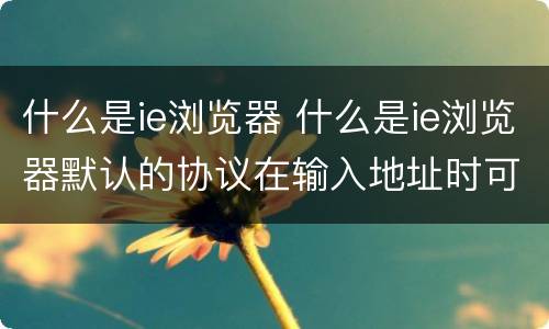 什么是ie浏览器 什么是ie浏览器默认的协议在输入地址时可省略