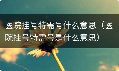 医院挂号特需号什么意思（医院挂号特需号是什么意思）
