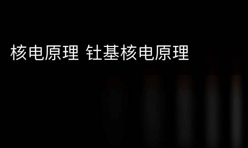 核电原理 钍基核电原理