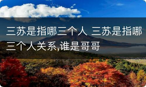 三苏是指哪三个人 三苏是指哪三个人关系,谁是哥哥