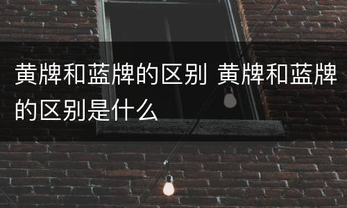 黄牌和蓝牌的区别 黄牌和蓝牌的区别是什么