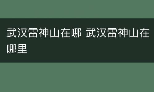 武汉雷神山在哪 武汉雷神山在哪里