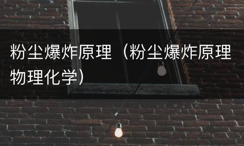 粉尘爆炸原理（粉尘爆炸原理物理化学）