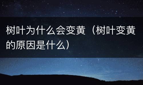 树叶为什么会变黄（树叶变黄的原因是什么）
