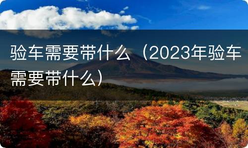 验车需要带什么（2023年验车需要带什么）