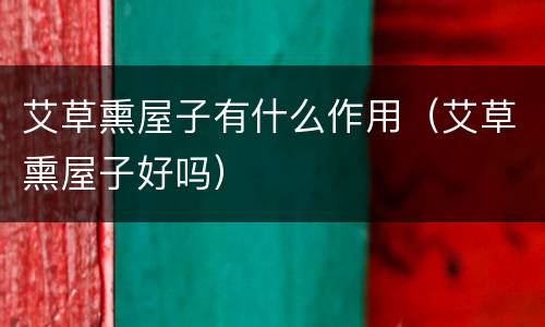 艾草熏屋子有什么作用（艾草熏屋子好吗）