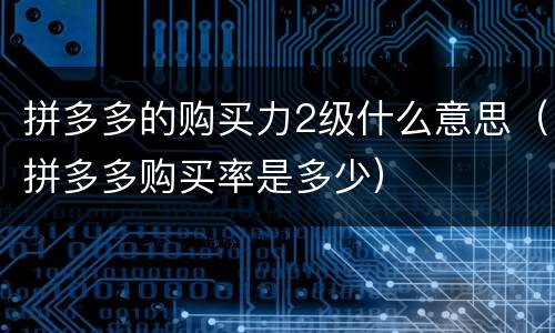 拼多多的购买力2级什么意思（拼多多购买率是多少）