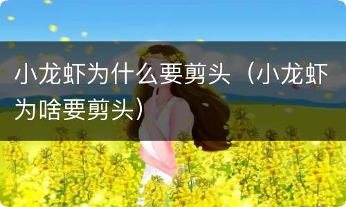 小龙虾为什么要剪头（小龙虾为啥要剪头）