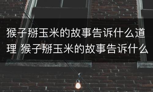 猴子掰玉米的故事告诉什么道理 猴子掰玉米的故事告诉什么道理英文
