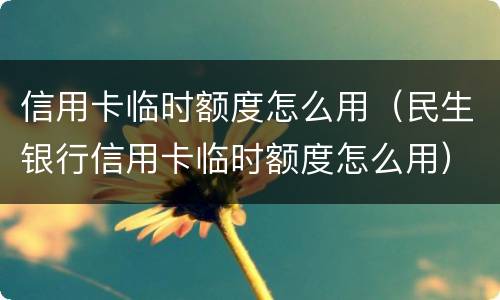 信用卡临时额度怎么用（民生银行信用卡临时额度怎么用）