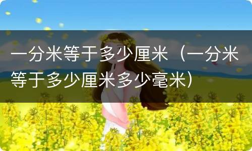 一分米等于多少厘米（一分米等于多少厘米多少毫米）